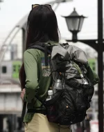 compagnon de voyage